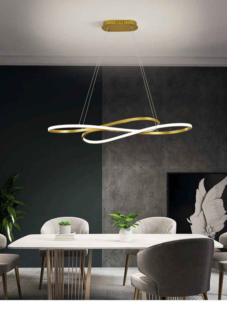 Suspension Anneau en Métal Design Moderne