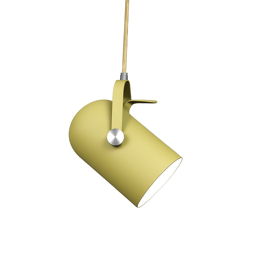 Suspension Spot en Aluminium de Couleur Image